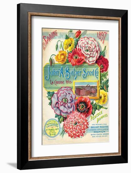 Salzer Seed Company Lacrosse-null-Framed Art Print