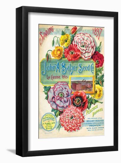 Salzer Seed Company Lacrosse-null-Framed Art Print