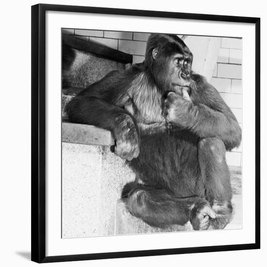 Photographic Print, , large