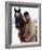 Sam Elliott - Prancer-null-Framed Photo