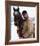 Sam Elliott - Prancer-null-Framed Photo