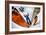 Sam Feuerborn Goes For A Ski Tour In The Backcountry Of Ouray, Colorado-Dan Holz-Framed Photographic Print
