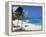 Sam Lords Beach, Barbados, West Indies, Caribbean, Central America-John Miller-Framed Premier Image Canvas
