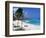 Sam Lords Beach, Barbados, West Indies, Caribbean, Central America-John Miller-Framed Photographic Print