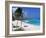 Sam Lords Beach, Barbados, West Indies, Caribbean, Central America-John Miller-Framed Photographic Print