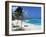 Sam Lords Beach, Barbados, West Indies, Caribbean, Central America-John Miller-Framed Photographic Print