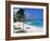 Sam Lords Beach, Barbados, West Indies, Caribbean, Central America-John Miller-Framed Photographic Print