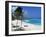 Sam Lords Beach, Barbados, West Indies, Caribbean, Central America-John Miller-Framed Photographic Print