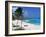 Sam Lords Beach, Barbados, West Indies, Caribbean, Central America-John Miller-Framed Photographic Print