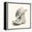 Sam's boots II-Grace Popp-Framed Stretched Canvas