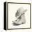 Sam's boots II-Grace Popp-Framed Stretched Canvas