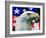 "Sam the American Eagle,"July 1, 1939-Arthur H. Fisher-Framed Giclee Print