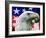 "Sam the American Eagle,"July 1, 1939-Arthur H. Fisher-Framed Giclee Print