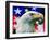 "Sam the American Eagle,"July 1, 1939-Arthur H. Fisher-Framed Giclee Print