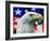 "Sam the American Eagle,"July 1, 1939-Arthur H. Fisher-Framed Giclee Print