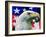 "Sam the American Eagle,"July 1, 1939-Arthur H. Fisher-Framed Giclee Print