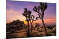 Premium Photographic Print