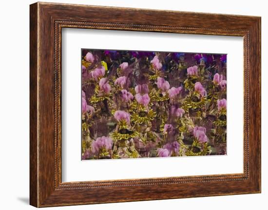 Samba Parade at Sambadrome During Carnival, Rio de Janeiro, Brazil-Keren Su-Framed Photographic Print