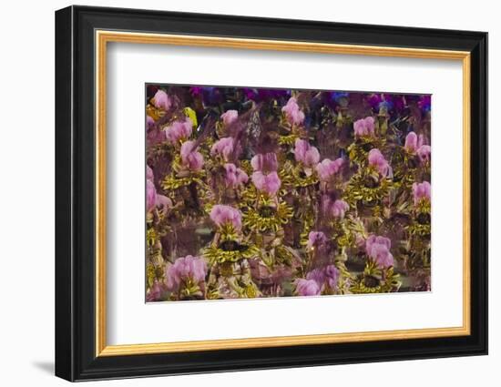 Samba Parade at Sambadrome During Carnival, Rio de Janeiro, Brazil-Keren Su-Framed Photographic Print