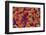 Samba Parade at Sambadrome During Carnival, Rio de Janeiro, Brazil-Keren Su-Framed Photographic Print