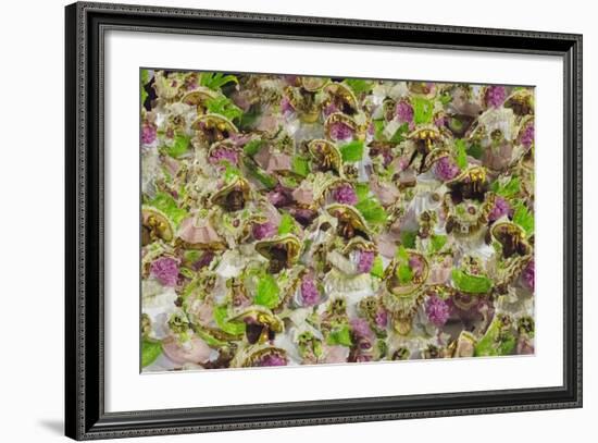 Samba Parade at Sambadrome During Carnival, Rio de Janeiro, Brazil-Keren Su-Framed Photographic Print