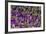 Samba Parade at Sambadrome During Carnival, Rio de Janeiro, Brazil-Keren Su-Framed Photographic Print