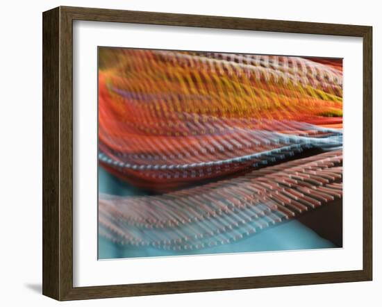 Samburu Dancer's Colorful Necklace, Samburu National Reserve, Kenya-Arthur Morris-Framed Photographic Print