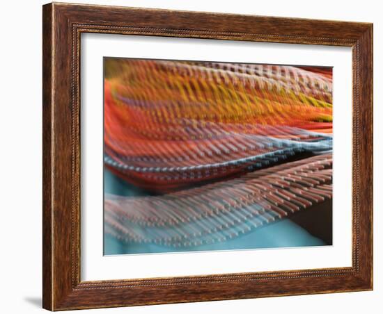 Samburu Dancer's Colorful Necklace, Samburu National Reserve, Kenya-Arthur Morris-Framed Photographic Print