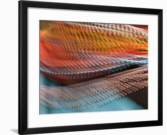 Samburu Dancer's Colorful Necklace, Samburu National Reserve, Kenya-Arthur Morris-Framed Photographic Print