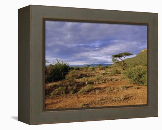 Samburu National Reserve, Kenya, East Africa, Africa-Robert Harding-Framed Premier Image Canvas