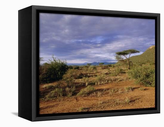 Samburu National Reserve, Kenya, East Africa, Africa-Robert Harding-Framed Premier Image Canvas