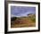 Samburu National Reserve, Kenya, East Africa, Africa-Robert Harding-Framed Photographic Print