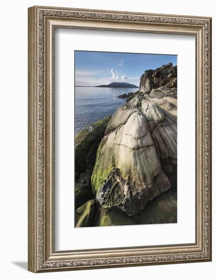 Samish Bay Wildcat Cove Larrabee State Park, Washington State.-Alan Majchrowicz-Framed Photographic Print