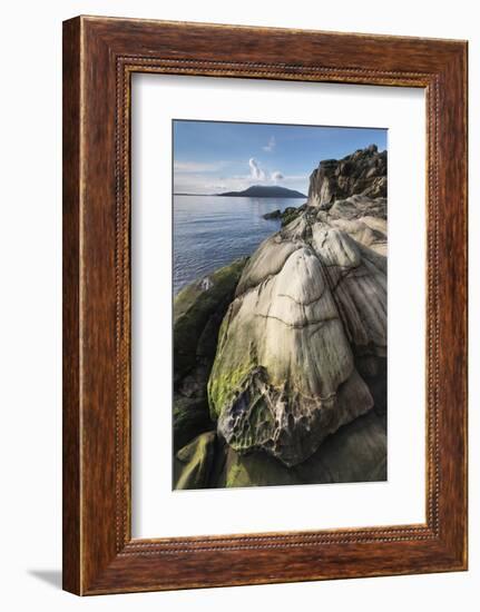 Samish Bay Wildcat Cove Larrabee State Park, Washington State.-Alan Majchrowicz-Framed Photographic Print