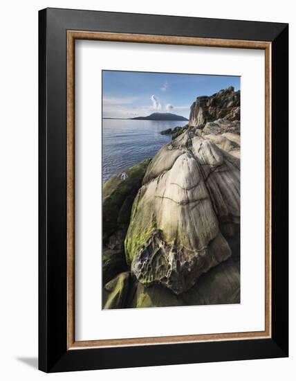 Samish Bay Wildcat Cove Larrabee State Park, Washington State.-Alan Majchrowicz-Framed Photographic Print