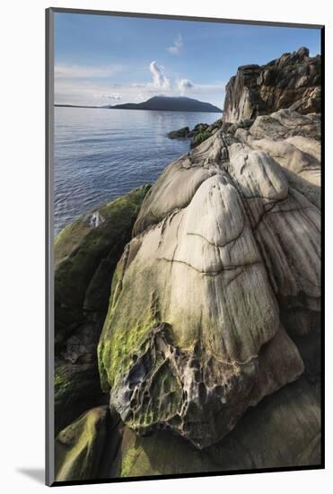 Samish Bay Wildcat Cove Larrabee State Park, Washington State.-Alan Majchrowicz-Mounted Photographic Print