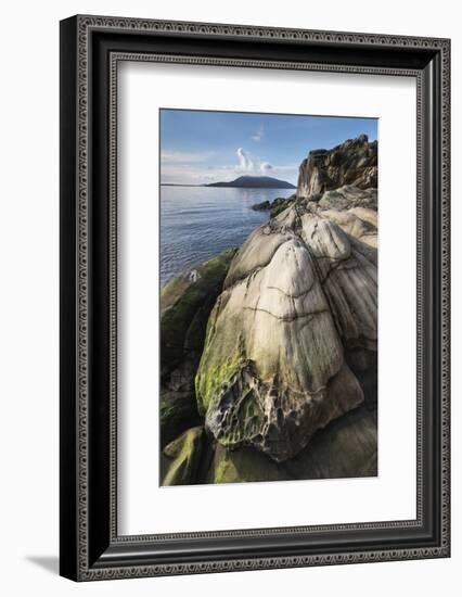 Samish Bay Wildcat Cove Larrabee State Park, Washington State.-Alan Majchrowicz-Framed Photographic Print