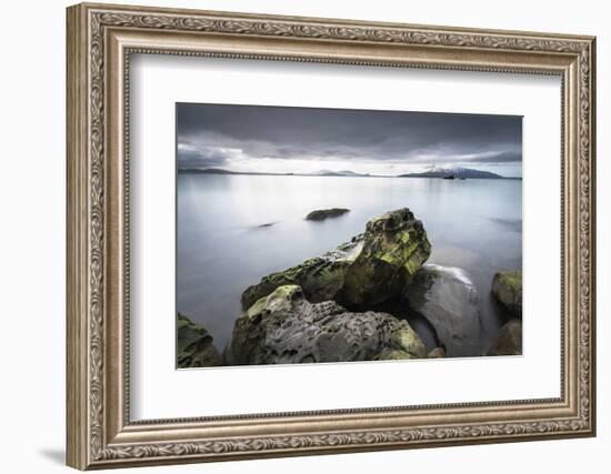 Samish Bay Wildcat Cove Larrabee State Park, Washington State.-Alan Majchrowicz-Framed Photographic Print