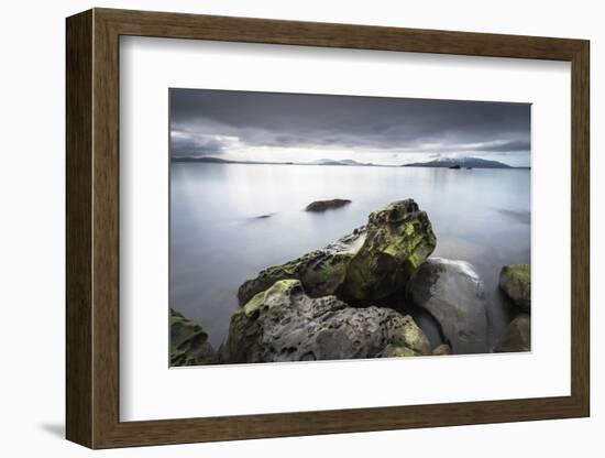 Samish Bay Wildcat Cove Larrabee State Park, Washington State.-Alan Majchrowicz-Framed Photographic Print