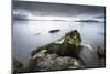 Samish Bay Wildcat Cove Larrabee State Park, Washington State.-Alan Majchrowicz-Mounted Photographic Print