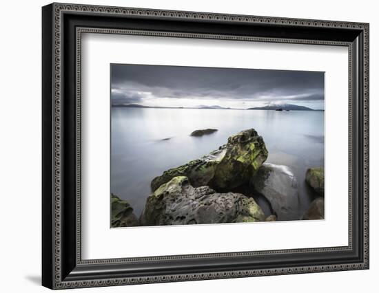 Samish Bay Wildcat Cove Larrabee State Park, Washington State.-Alan Majchrowicz-Framed Photographic Print