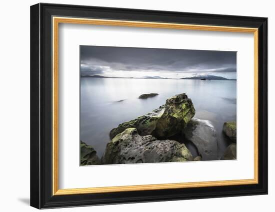 Samish Bay Wildcat Cove Larrabee State Park, Washington State.-Alan Majchrowicz-Framed Photographic Print