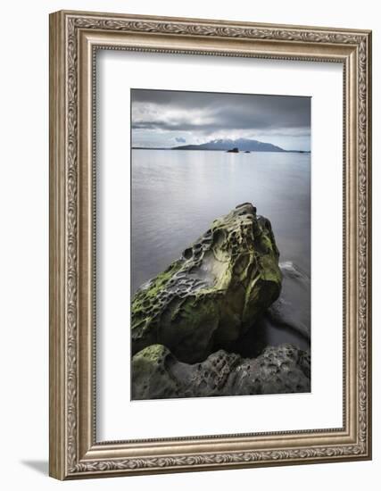 Samish Bay Wildcat Cove Larrabee State Park, Washington State.-Alan Majchrowicz-Framed Photographic Print