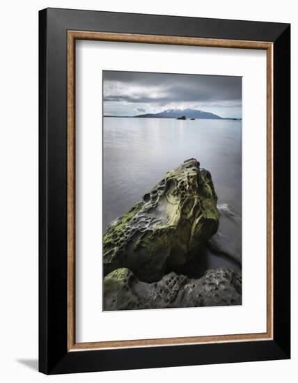 Samish Bay Wildcat Cove Larrabee State Park, Washington State.-Alan Majchrowicz-Framed Photographic Print