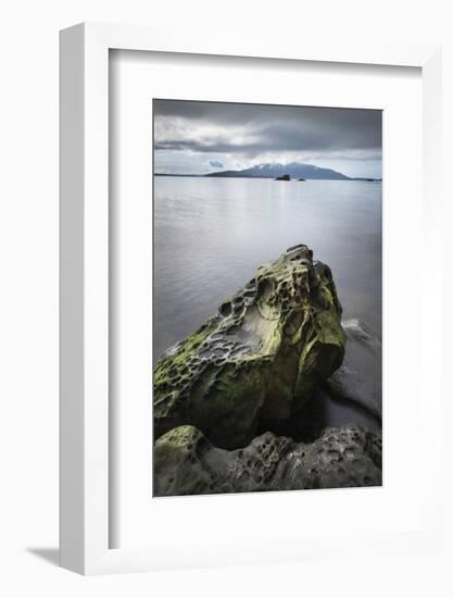 Samish Bay Wildcat Cove Larrabee State Park, Washington State.-Alan Majchrowicz-Framed Photographic Print