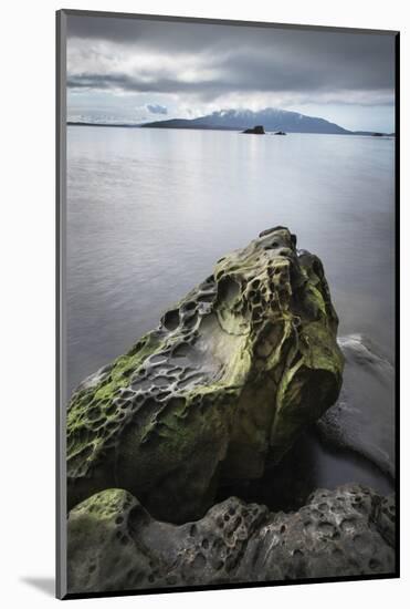 Samish Bay Wildcat Cove Larrabee State Park, Washington State.-Alan Majchrowicz-Mounted Photographic Print