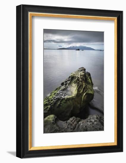 Samish Bay Wildcat Cove Larrabee State Park, Washington State.-Alan Majchrowicz-Framed Photographic Print