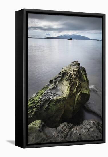 Samish Bay Wildcat Cove Larrabee State Park, Washington State.-Alan Majchrowicz-Framed Premier Image Canvas