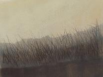 Marshland Grasses-Sammy Sheler-Art Print