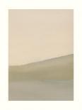 Marshland Grasses-Sammy Sheler-Art Print